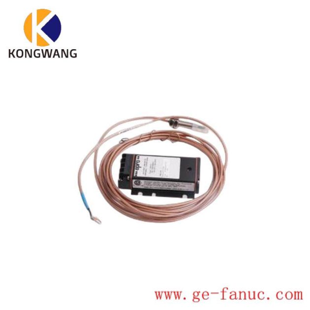 EPRO 6423 Series Eddy Current Sensor, CN Model, CN Module