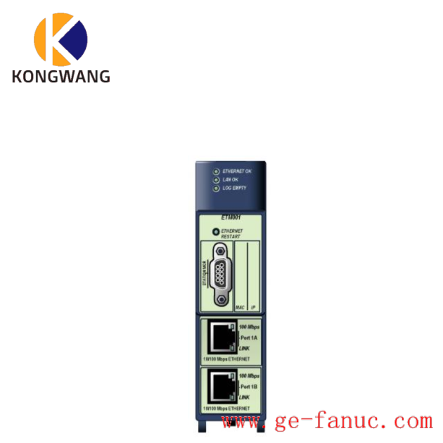 GE Fanuc IC695ETM001 Ethernet Interface Module